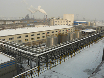 P1030814.JPG